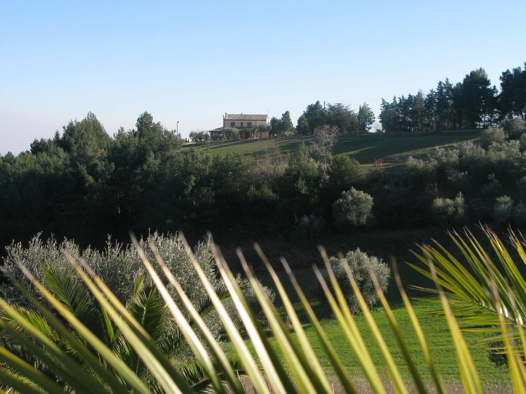 Briciola Di Sole Grottammare Exterior foto